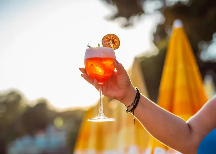 Sardunya Arka Bina * Kaş