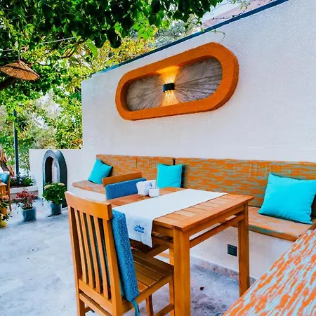 Sardunya Arka Bina Kaş