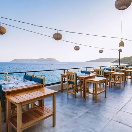 Sardunya Arka Bina Hotel *