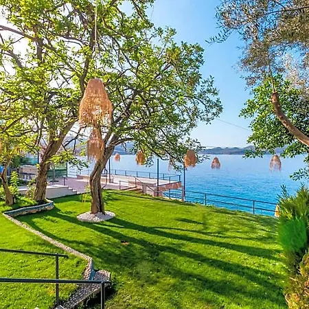 Sardunya Arka Bina * Kaş
