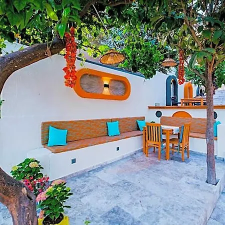 Sardunya Arka Bina * Kaş